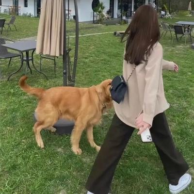 蜘蛛陷阱