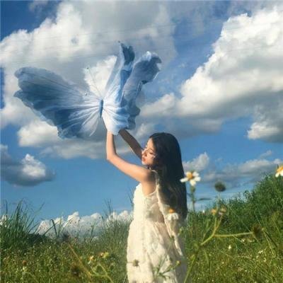 寻龙·镇魂棺