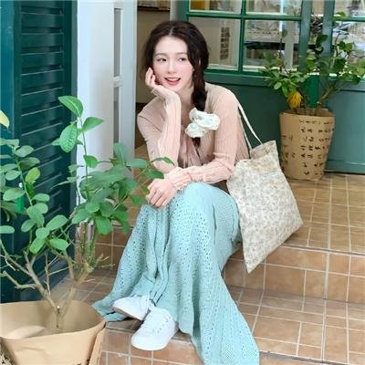 家庭私小说